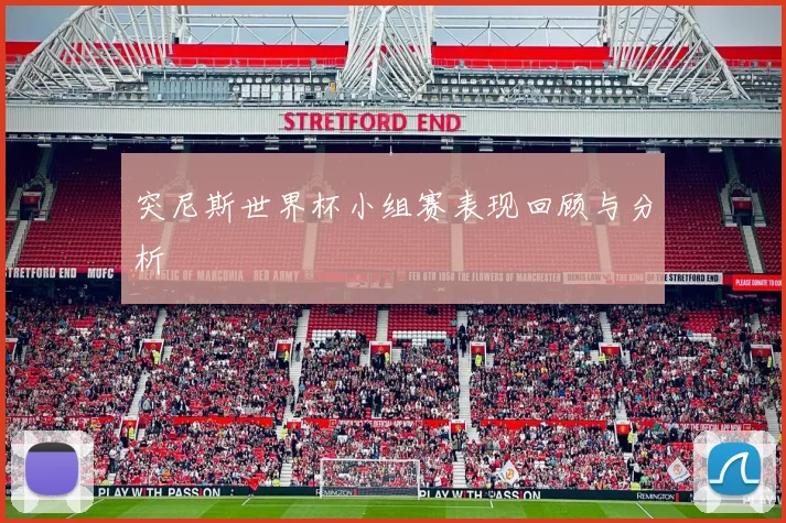 突尼斯世界杯小组赛表现回顾与分析