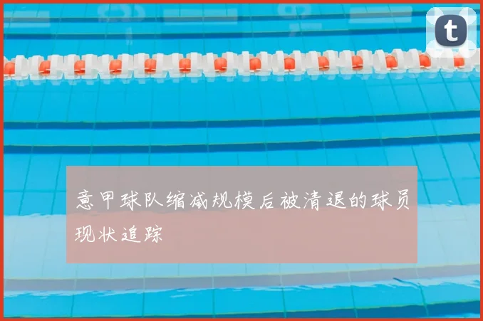 意甲球队缩减规模后被清退的球员现状追踪