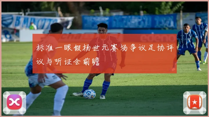 标准一眼假杨世元赛场争议足协评议与听证会前瞻