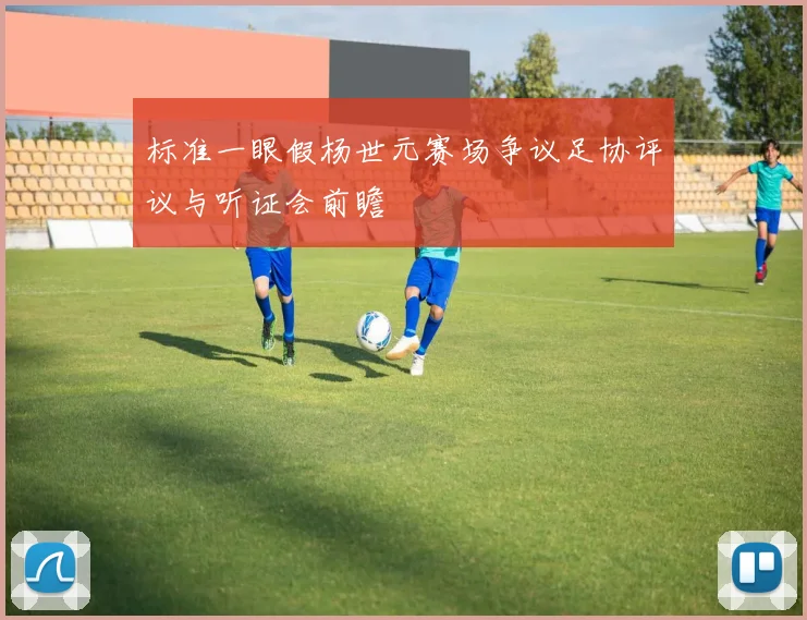 标准一眼假杨世元赛场争议足协评议与听证会前瞻