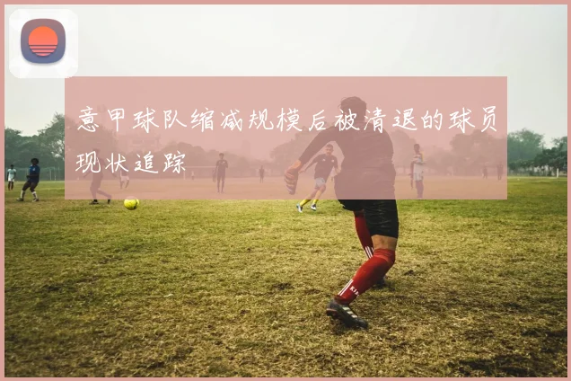 意甲球队缩减规模后被清退的球员现状追踪